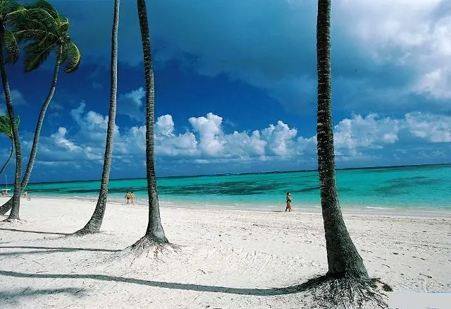 que aun no se han podido encontrar