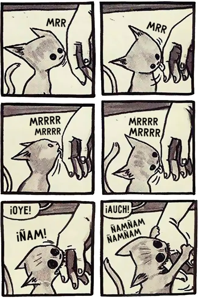 Si tenes un gato te vas a sentir identificado