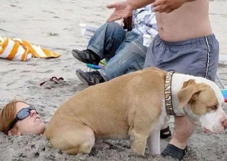 25 Extrañas Cosas con las que tienes que lidiar en la Playa