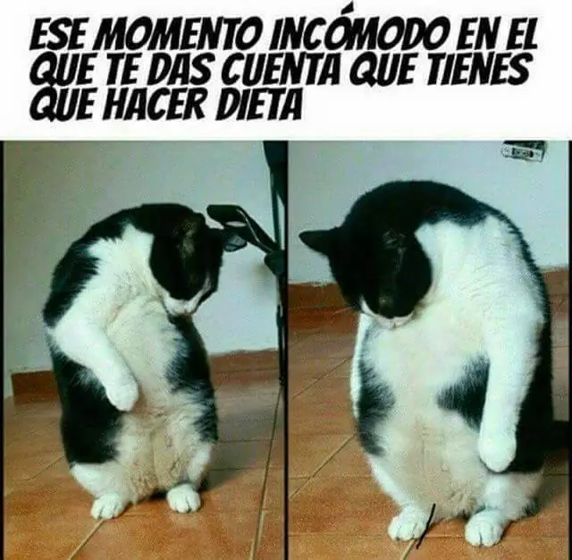 dormir