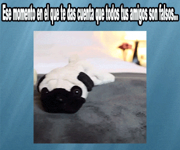 Imagenes graciosas