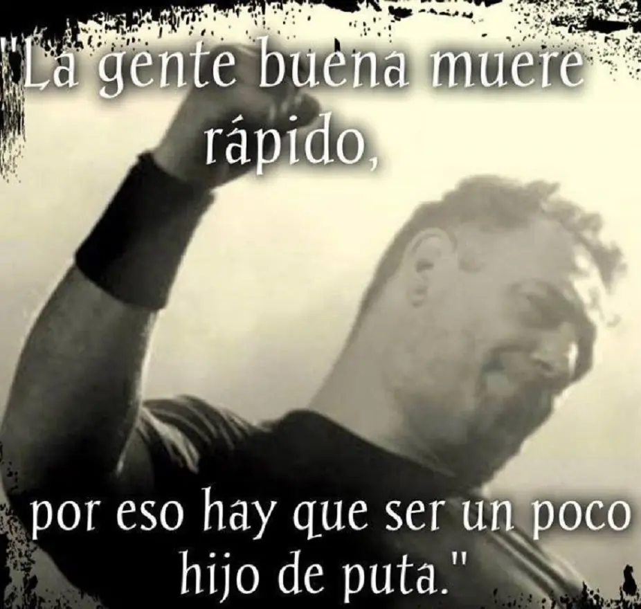 gif graciosos