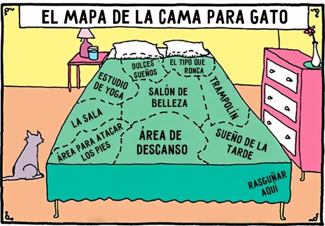 humor