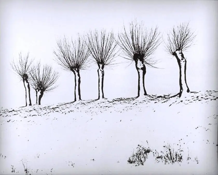 dibujos