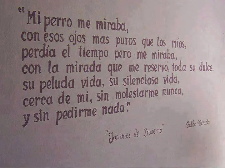 humor