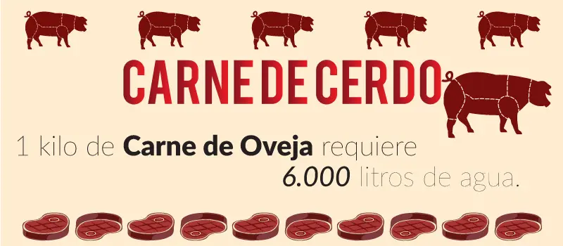 alimentos