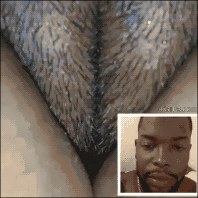 gif graciosos