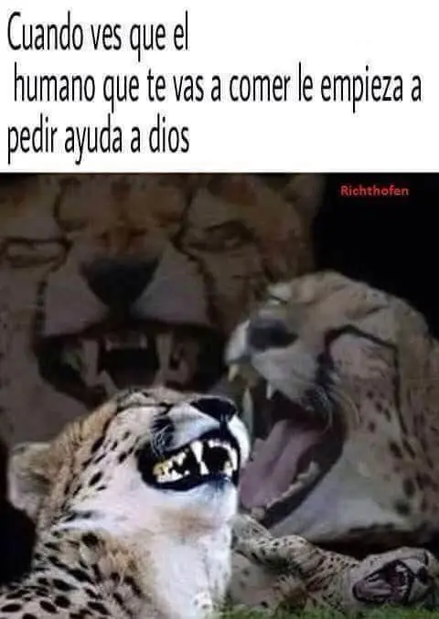 nunca