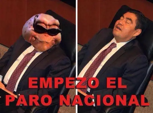Decile chau al Scroll del mouse, 320 imagenes ineditas