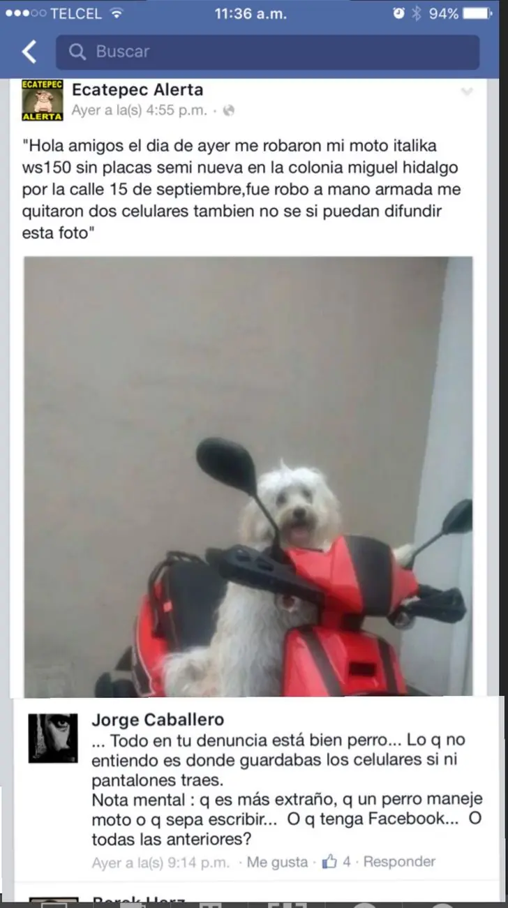 nunca