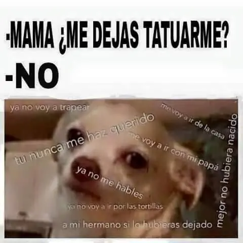 nunca