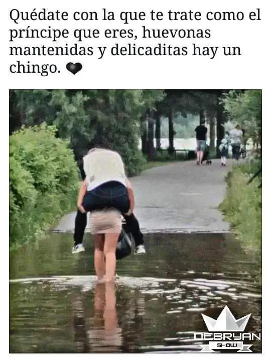 Decile chau al Scroll del mouse, 320 imagenes ineditas
