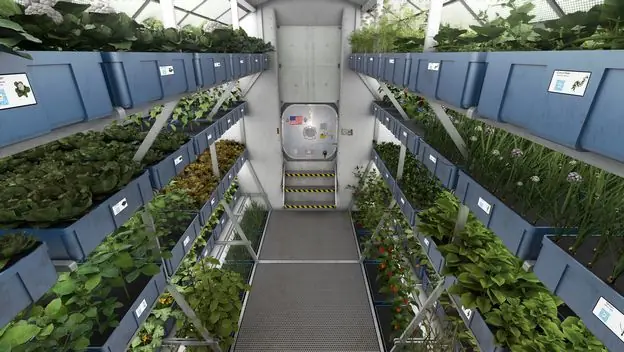 Astronautas comen la primera lechuga cultivada en el espacio