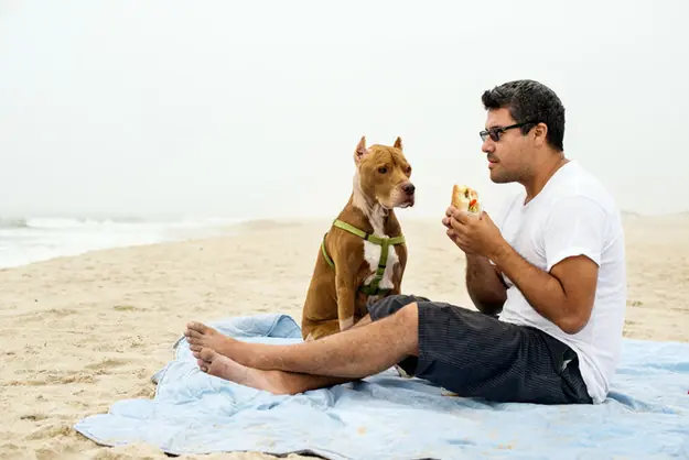 playa