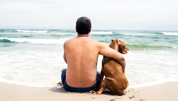perro