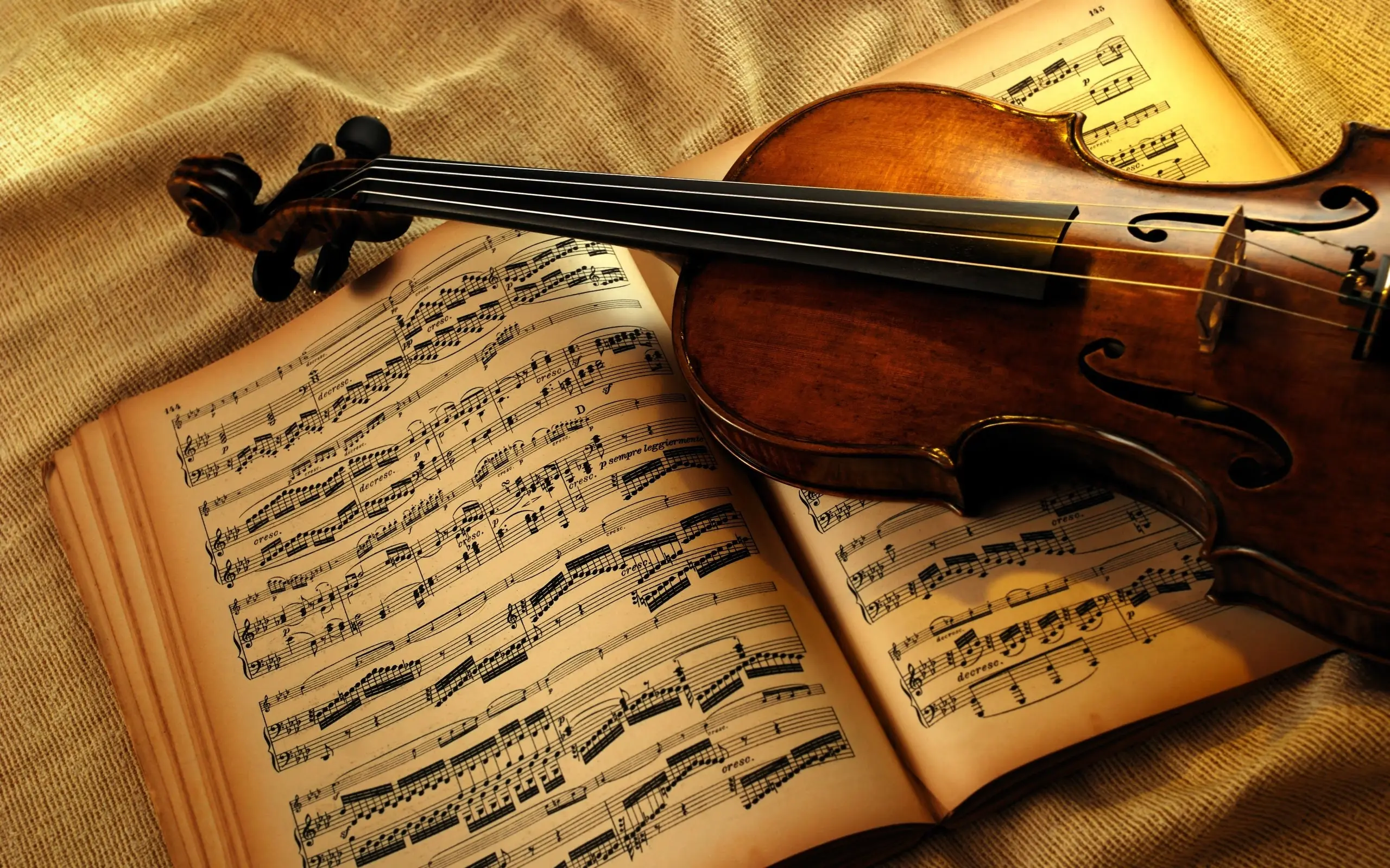 La música clásica habita una realidad inaccesible al humano