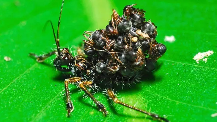 top