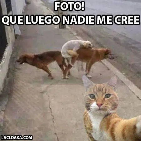 dormir