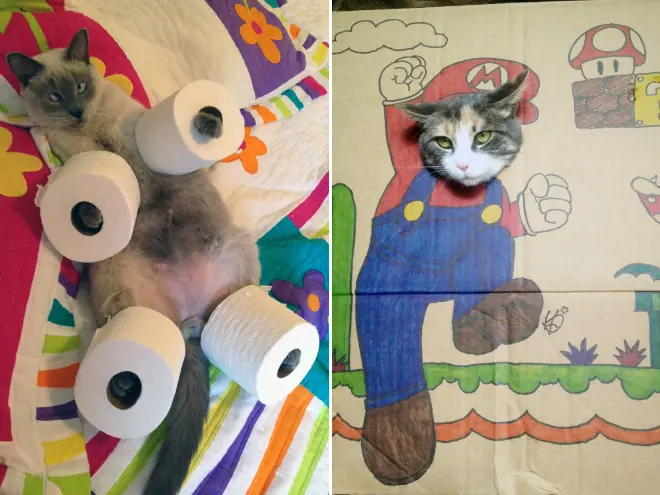 Mascotas