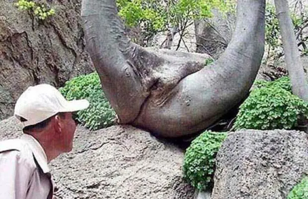 imagenes pervertidas para whatsa