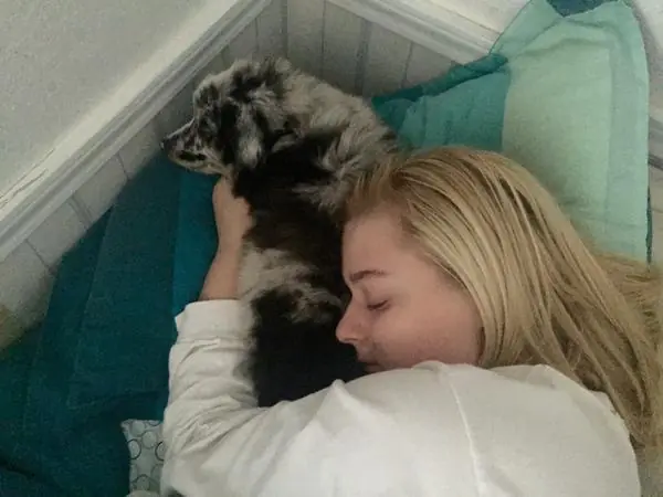 Si se distrae puedo herirme o morir