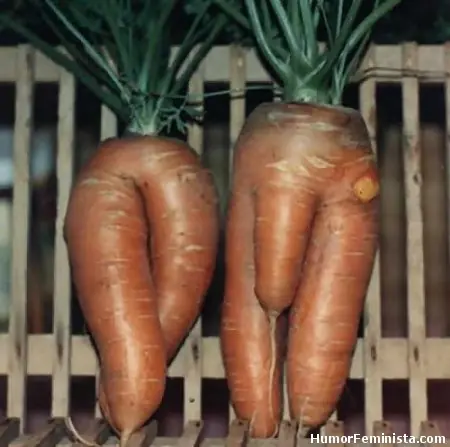 Te Vas A Morir De Risa