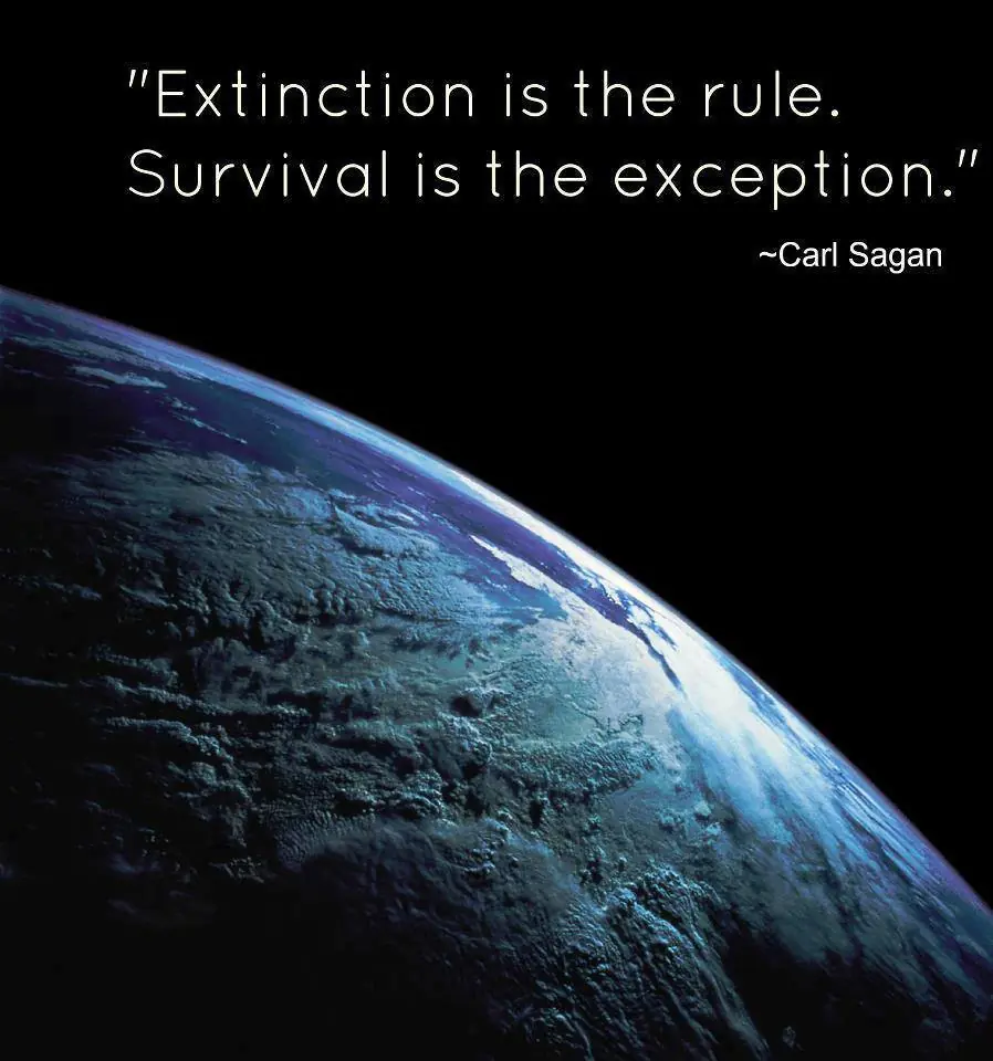 ecologia