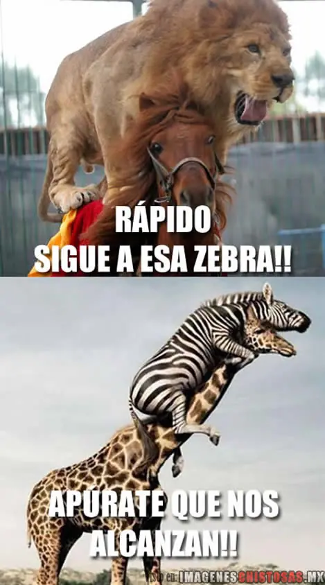 Jueves