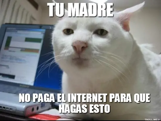 ¿Qué auto deberías conducir según tu signo?