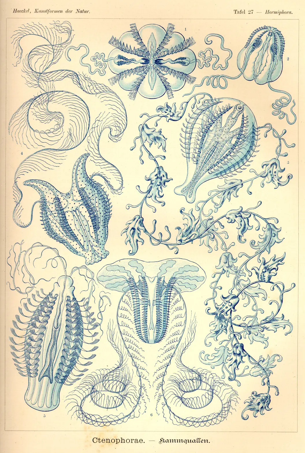 antiguas