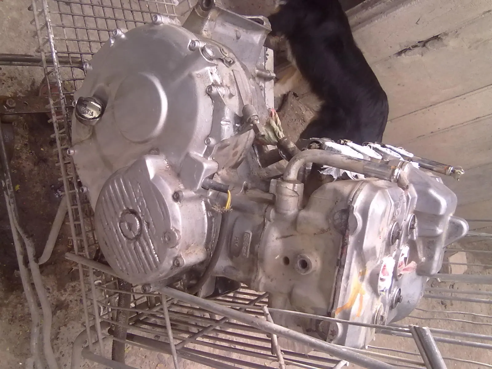 restauracion cbr600