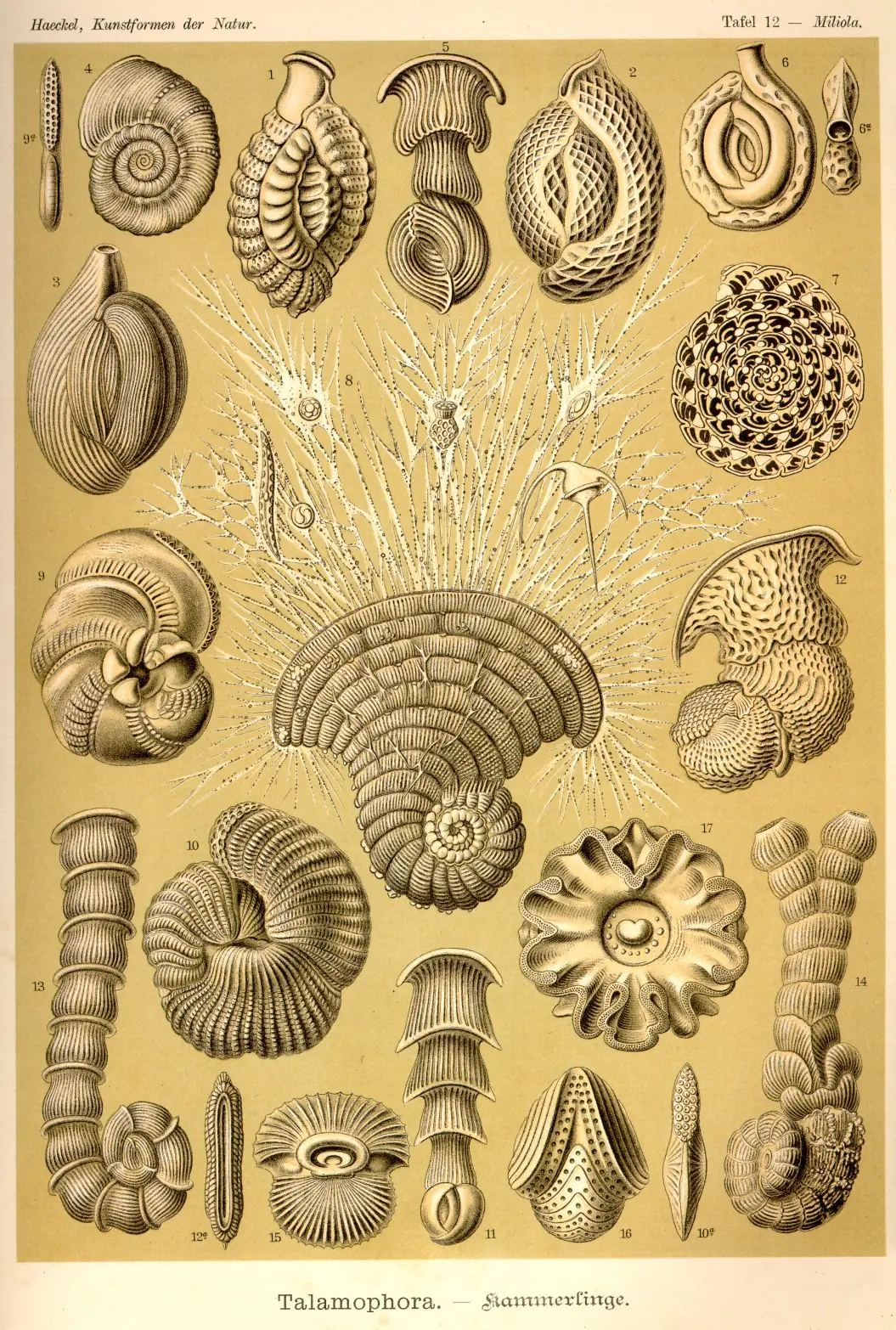 antiguas