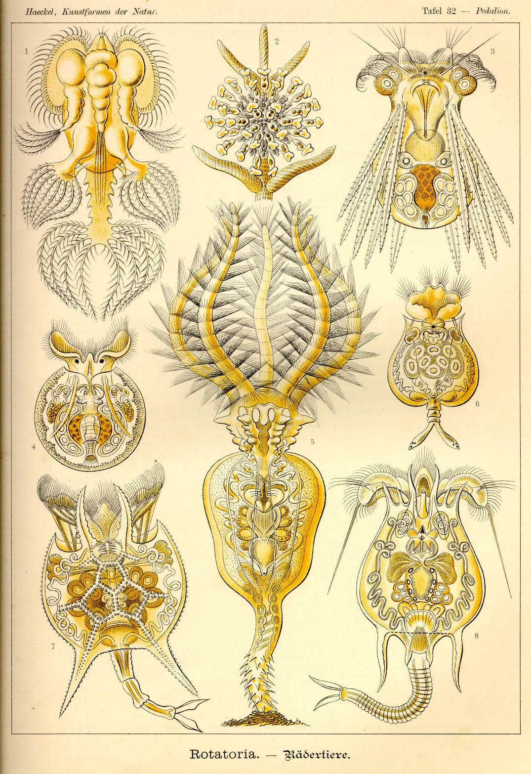 antiguas