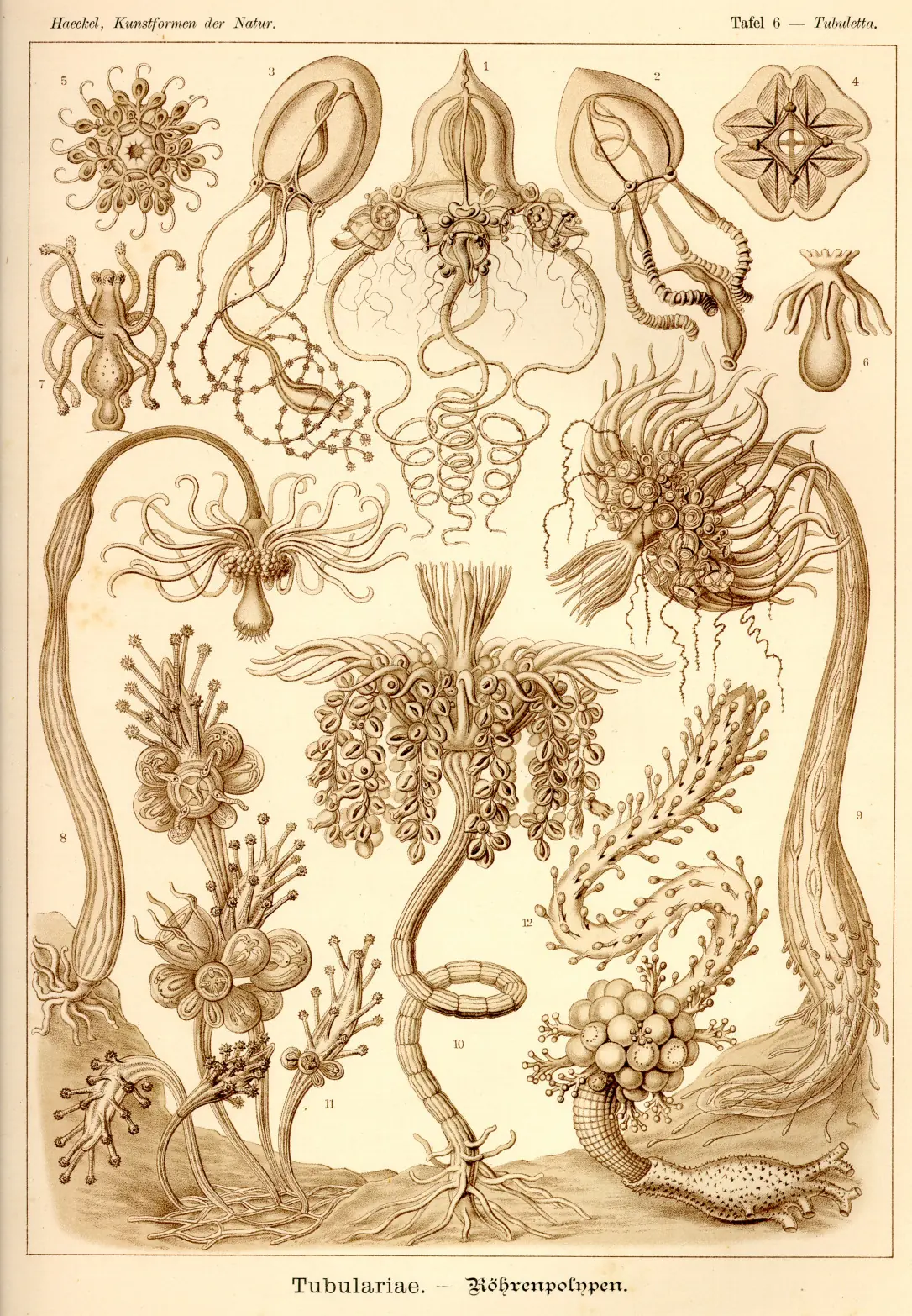 dibujos
