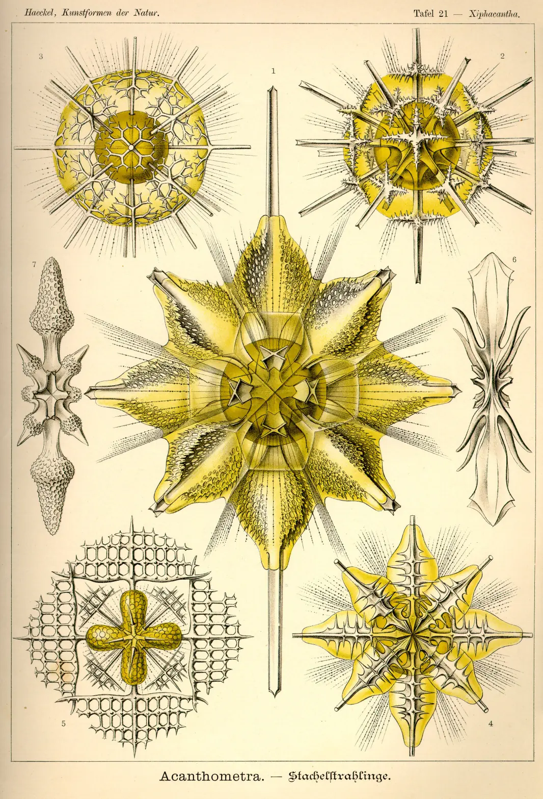 dibujos