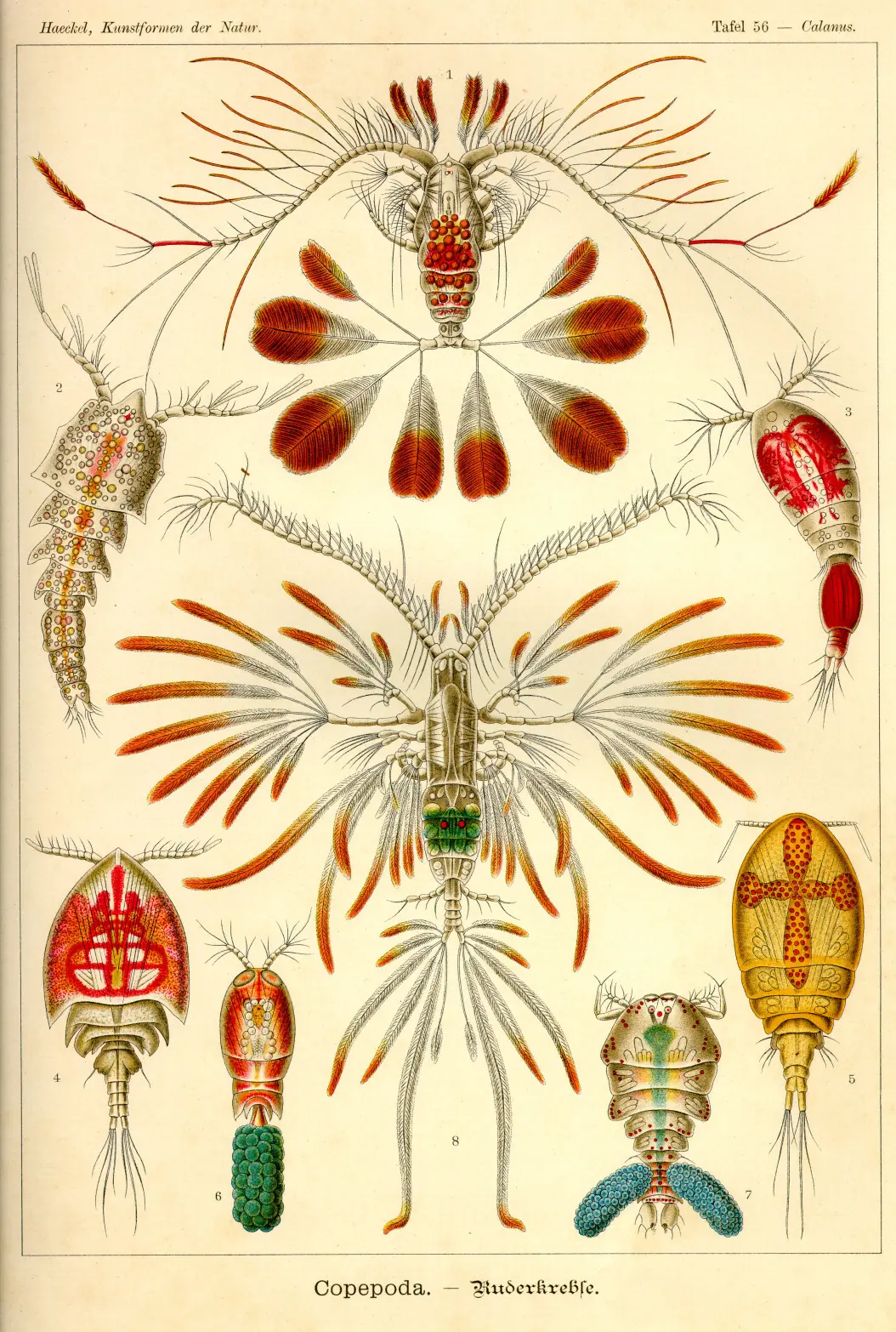 dibujos