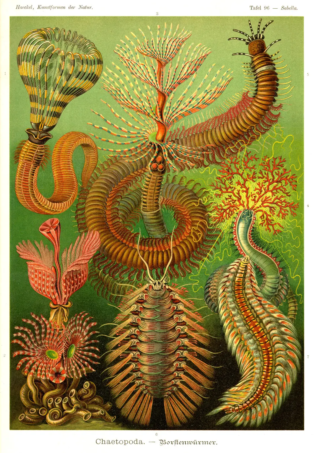 antiguas