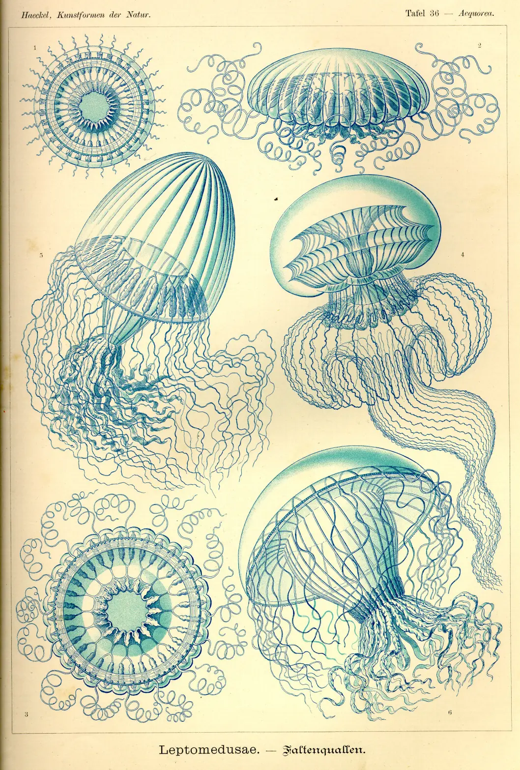 dibujos