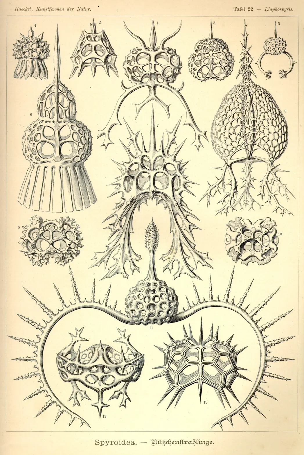 antiguas