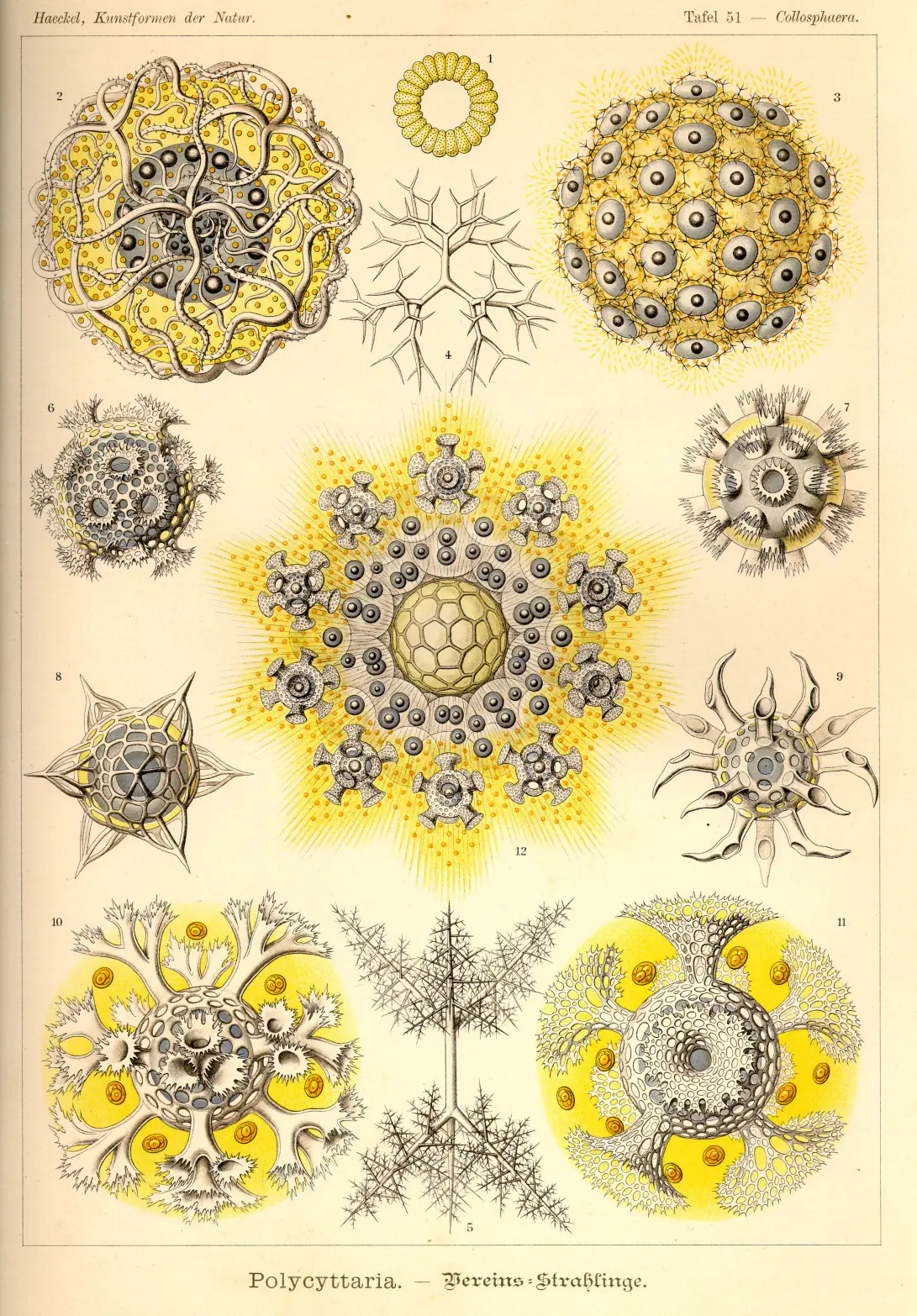 dibujos