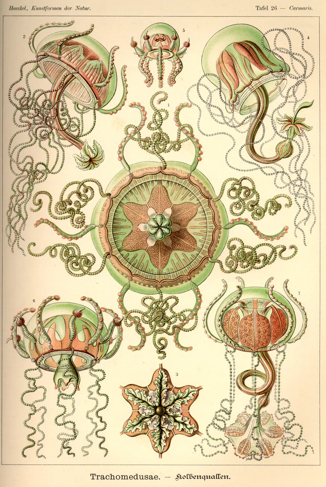 dibujos