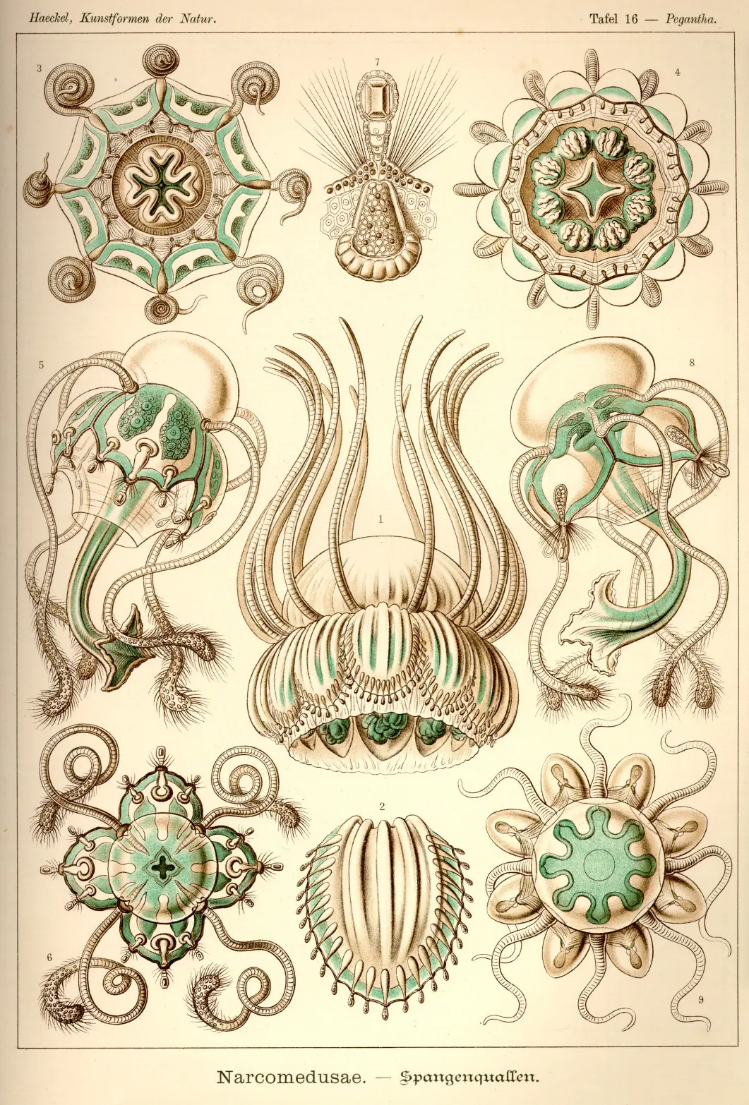 dibujos