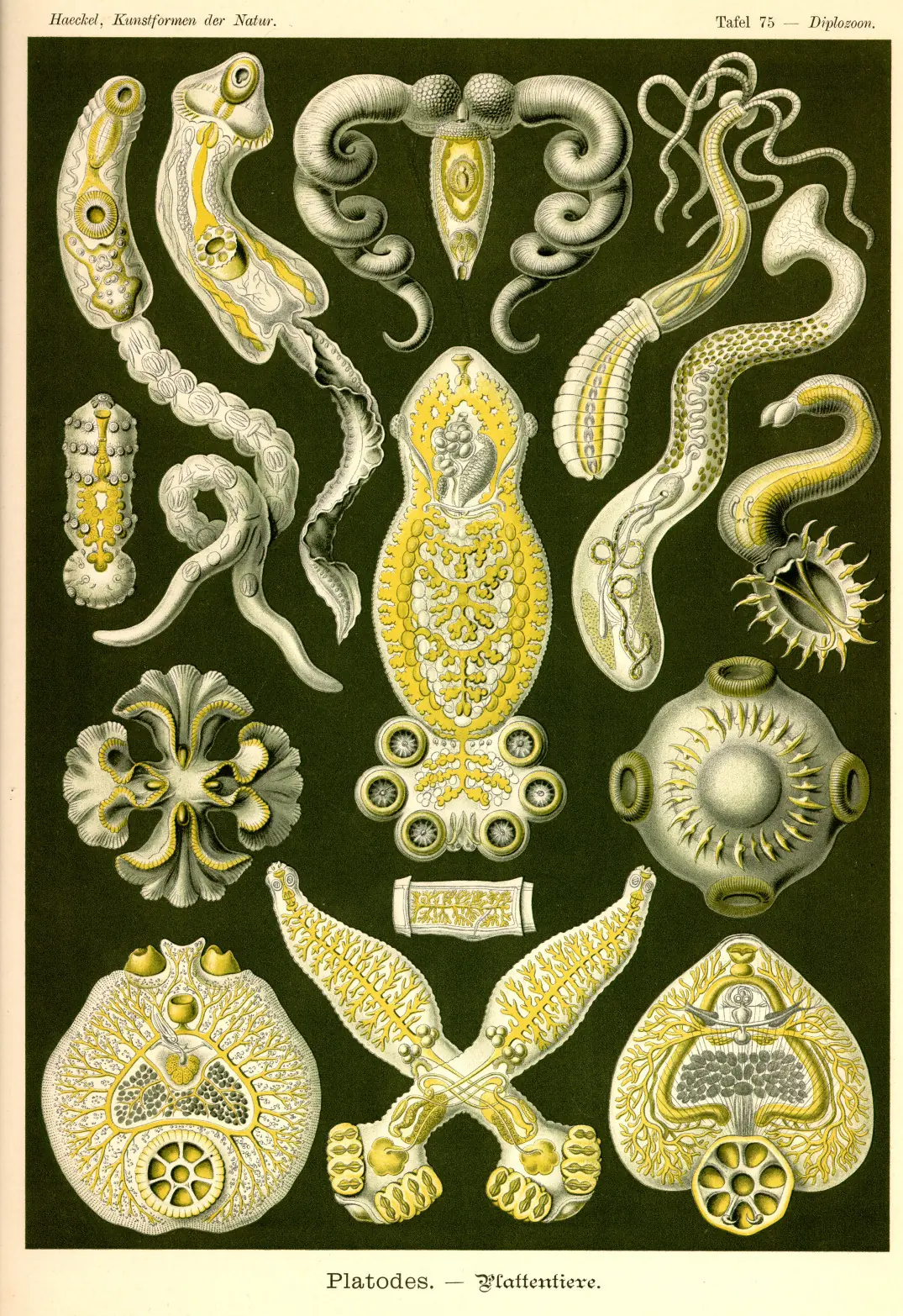 dibujos
