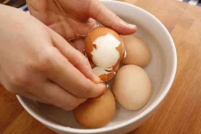 alimentos