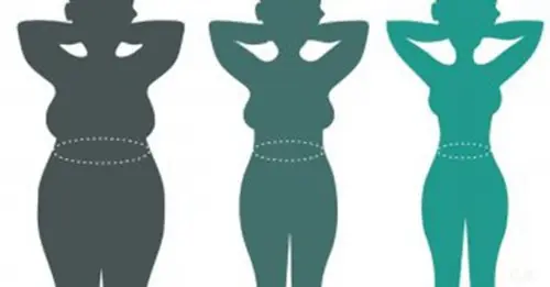 cuerpo