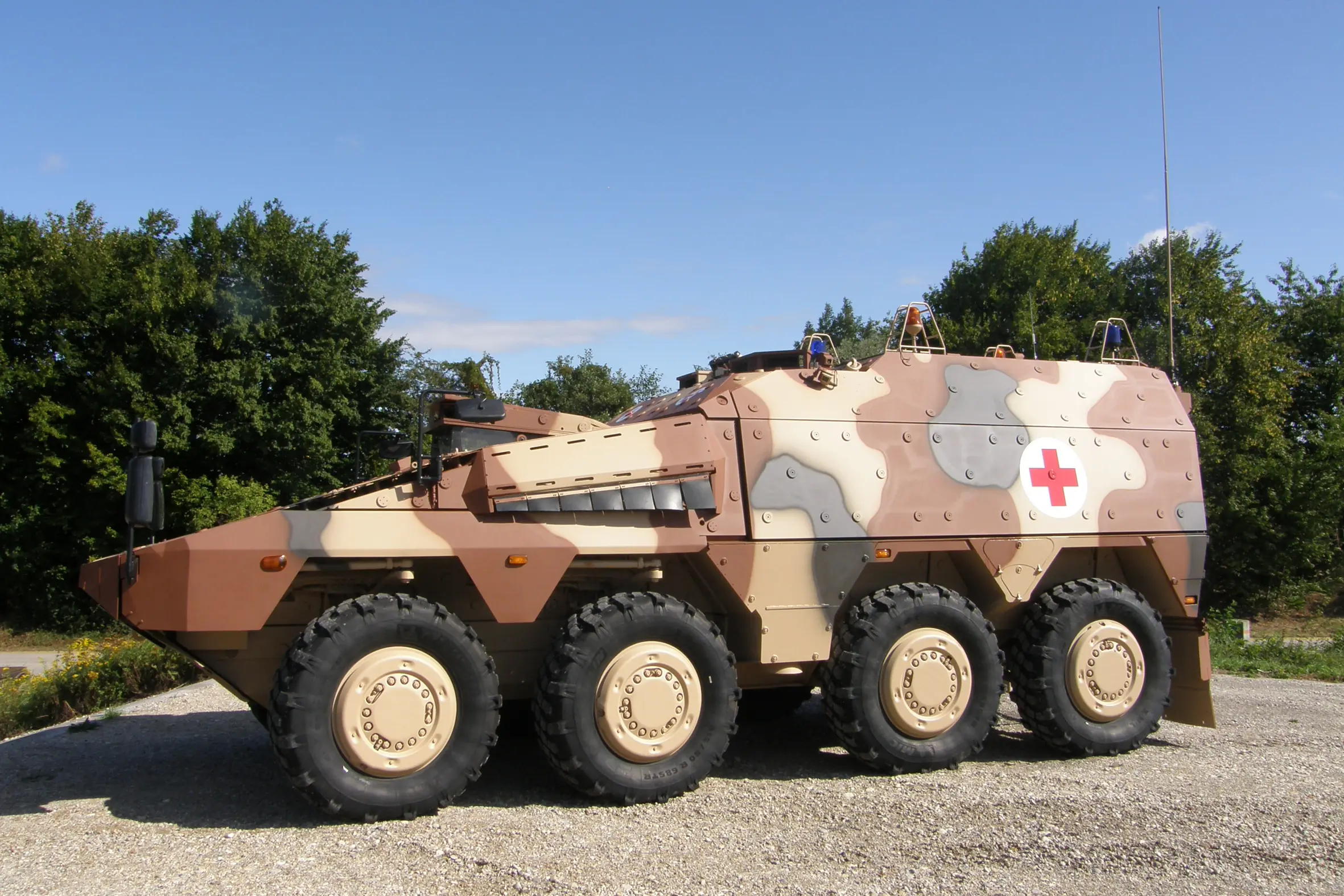 MBT