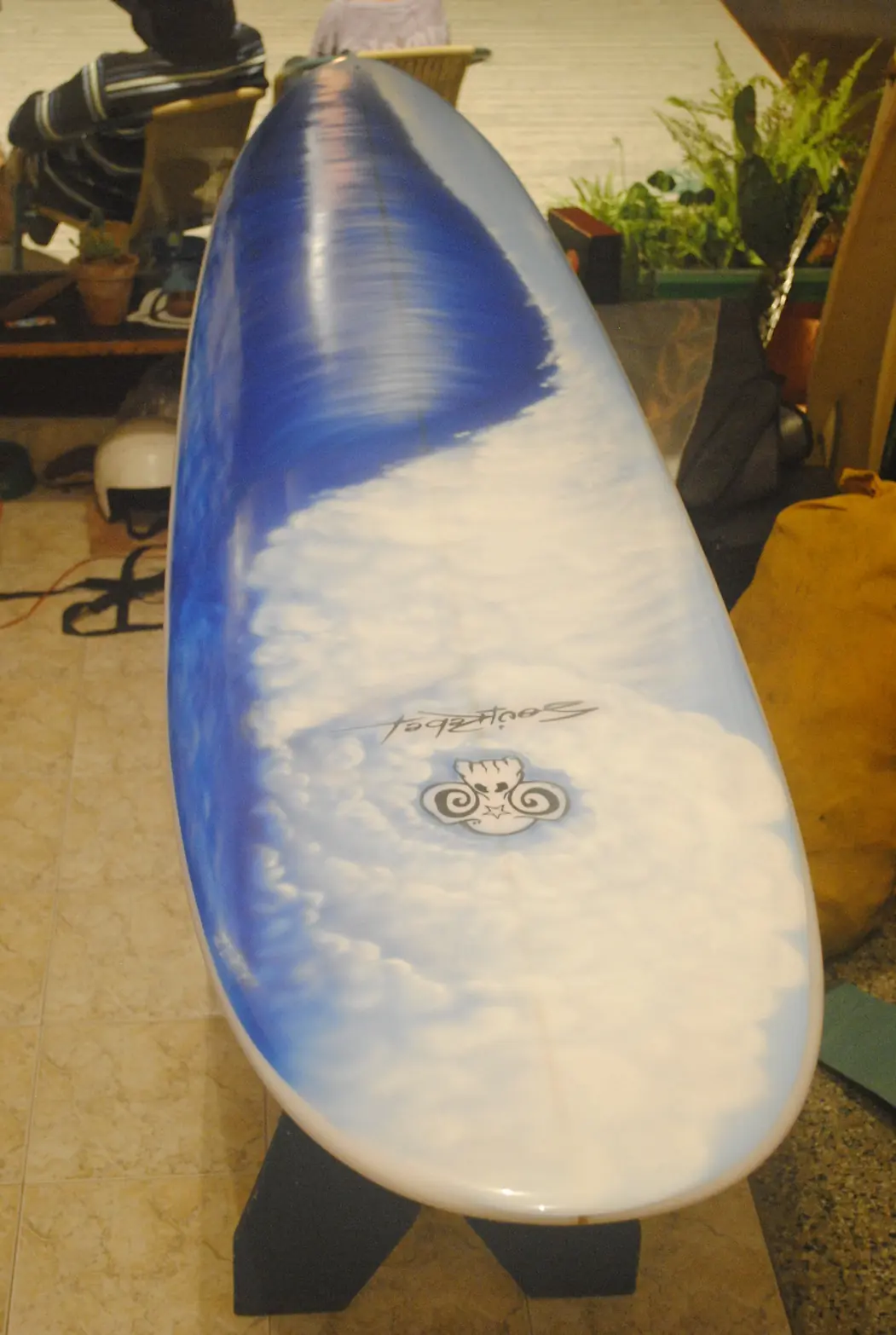 surf