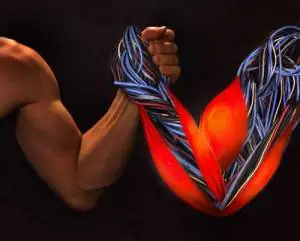 Desarrollar músculos sin actividad física gracias a polime