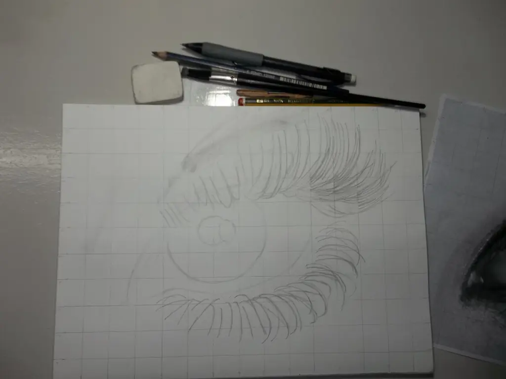 retrato