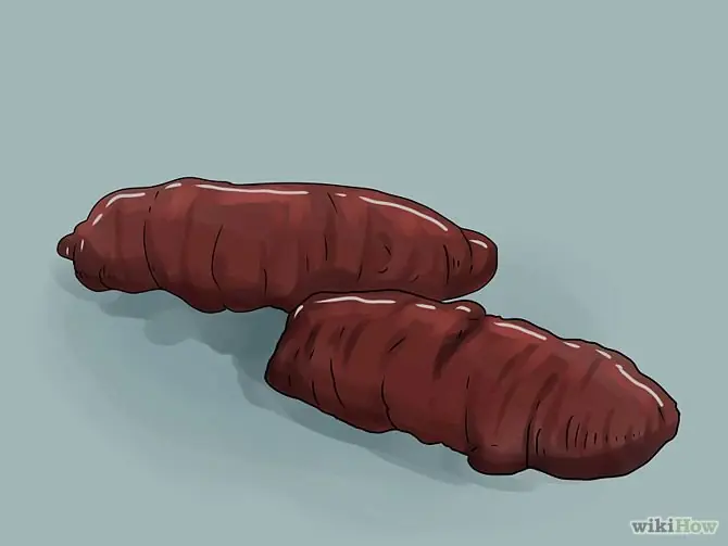 fecal